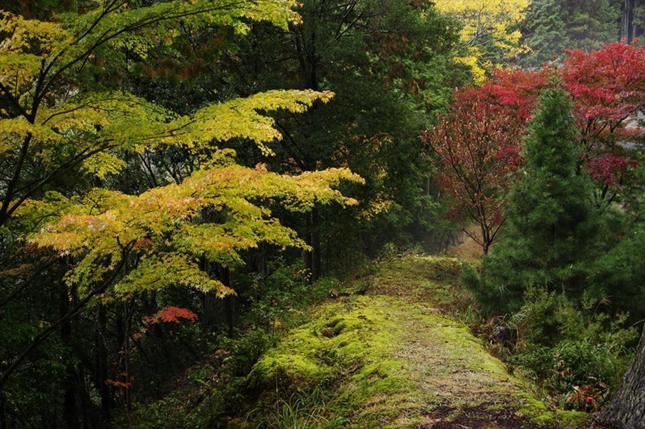 Yadori Onsen Iyashinoyu Villa Hashimoto  Dış mekan fotoğraf
