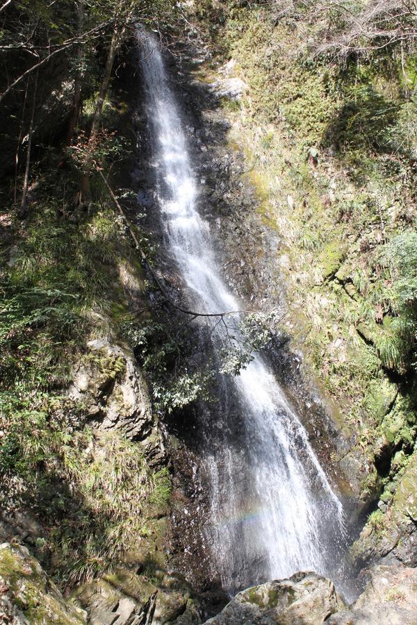 Yadori Onsen Iyashinoyu Villa Hashimoto  Dış mekan fotoğraf