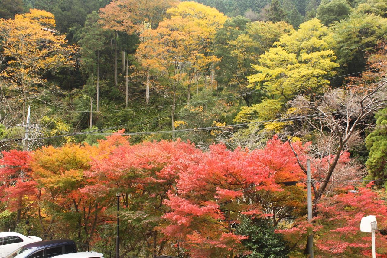 Yadori Onsen Iyashinoyu Villa Hashimoto  Dış mekan fotoğraf